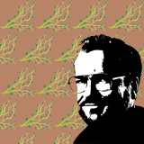 1_wallpaper-1024x1024-Toasted_nut-_-paven-r4-12-trans-tree-branch-Phil_Zimmerman_CloseUp_Vectored
