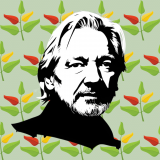 wallpaper-1024x1024-Seacrest-_-ecailles-r4-16-trans-plant-leaves-colors-Julian_assange_wikileaks_Silhouette_02