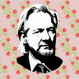 wallpaper-1024x1024-Seashell_pink-_-church-r4-13-trans-rose-branch-Julian_assange_wikileaks_Silhouette_03