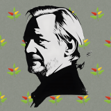 wallpaper-1024x1024-Shadow-_-fabric-of-squares-r4-01-withSpacing-trans-plant-leaves-colors-Julian_assange_wikileaks_Silhouette_01