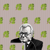 wallpaper-1024x1024-Shadow_gray-_-crisp-paper-ruffles-r4-01-withSpacing-trans-branch-green-leaves-dr_robert_malone_01