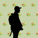 wallpaper-1024x1024-Shadow_lime-_-binding-light-r4-01-withSpacing-trans-plant-leaves-colors-Gavin-Wood-Ethereum-CoFounder-Silouette-01