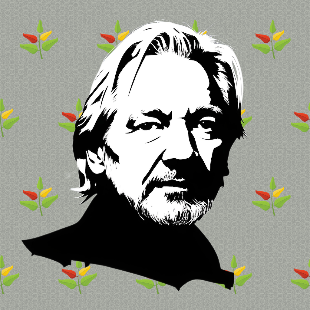 Julian assange